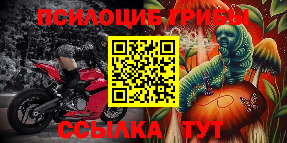 Галлюциногенные грибы мухоморы  Галлюциногенные грибы Magic Shrooms  Вход с VPN  Тамбов 